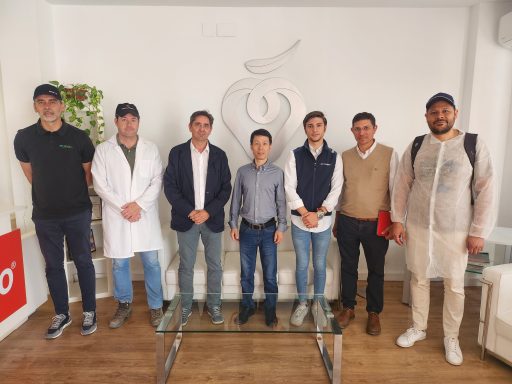 Intérprete/Traductor de Chino 中文西语翻译 Intérprete/Traductor de Chino 中文西语翻译